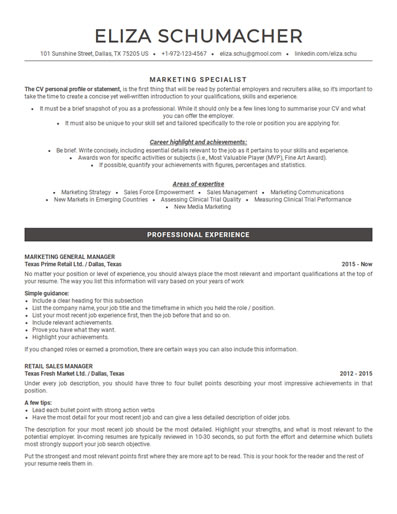 Resume Template 60
